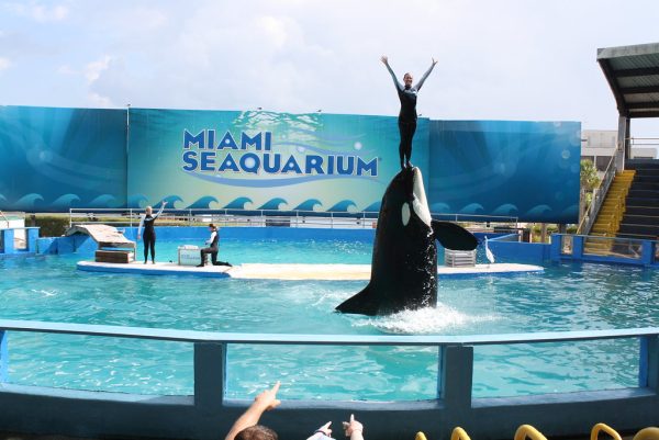 Lolita is free