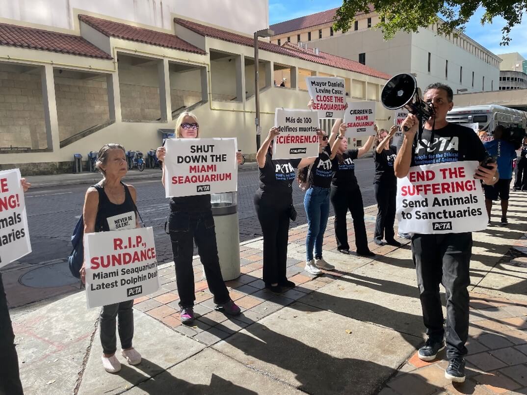 Protestors gather to demand the Seaquarium be shut down. 
https://www.peta.org/media/news-releases/dire-conditions-at-the-seaquarium-prompt-new-protest-at-mayors-office-to-demand-park-shutdown/