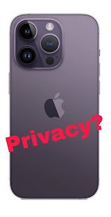 Design by Alessa Arguello and Gia Jimenez-Calvar