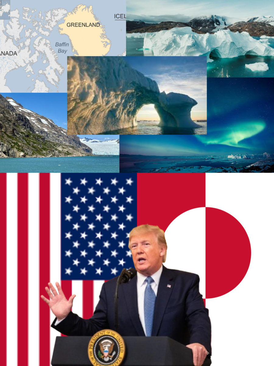 Design by Lola Rodriguez