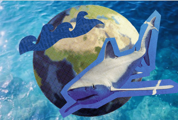 Design by Alexandra Kolaya